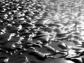 glistening sand ripples
