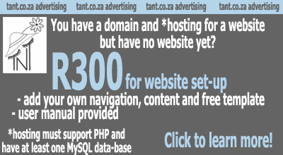 Website set-up for R300