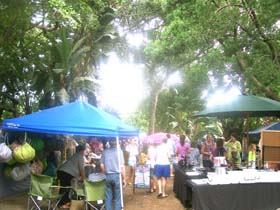 market at Yellowwood Forest Campsite Morgan Bay
