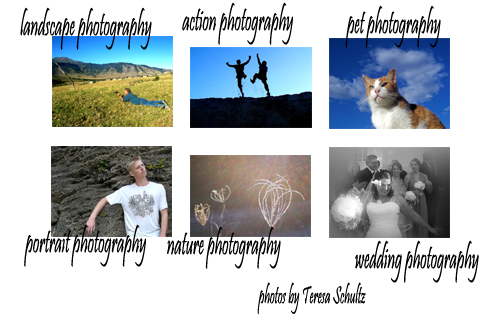 different kinds of photography like landscape photography, action photography, pet photography, portrait photography, nature photography and wedding photography