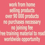 work from home selling products